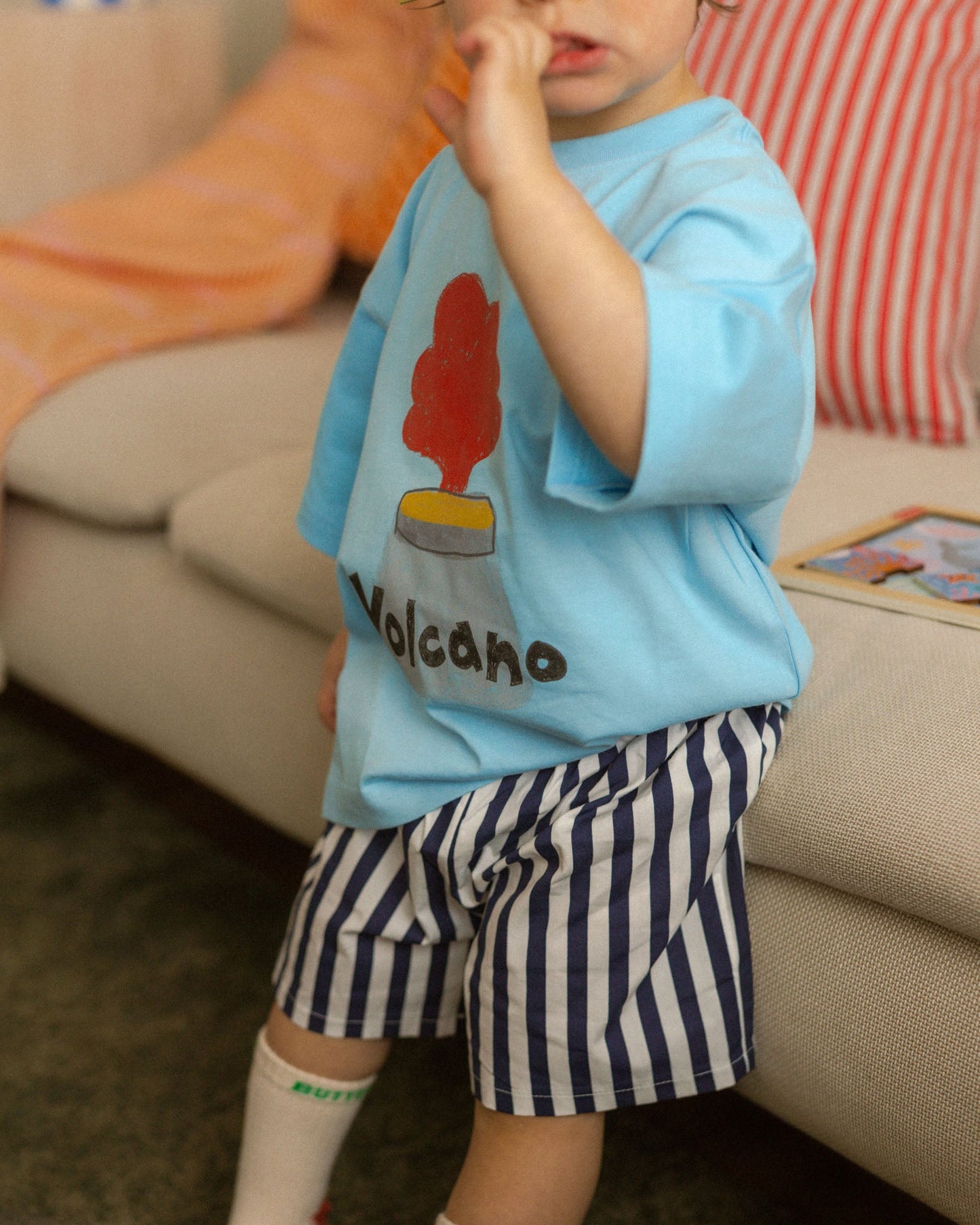 volcano tee - Pigeon said please