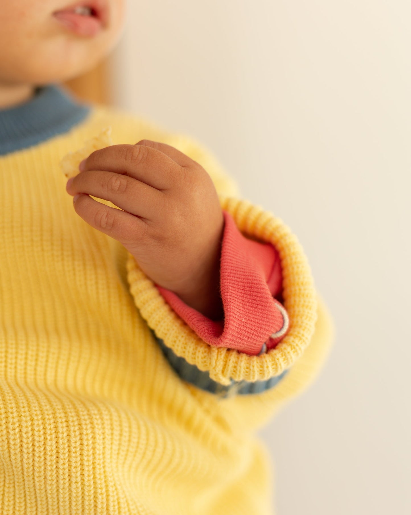 honey toast chunky knit - Pigeon said please