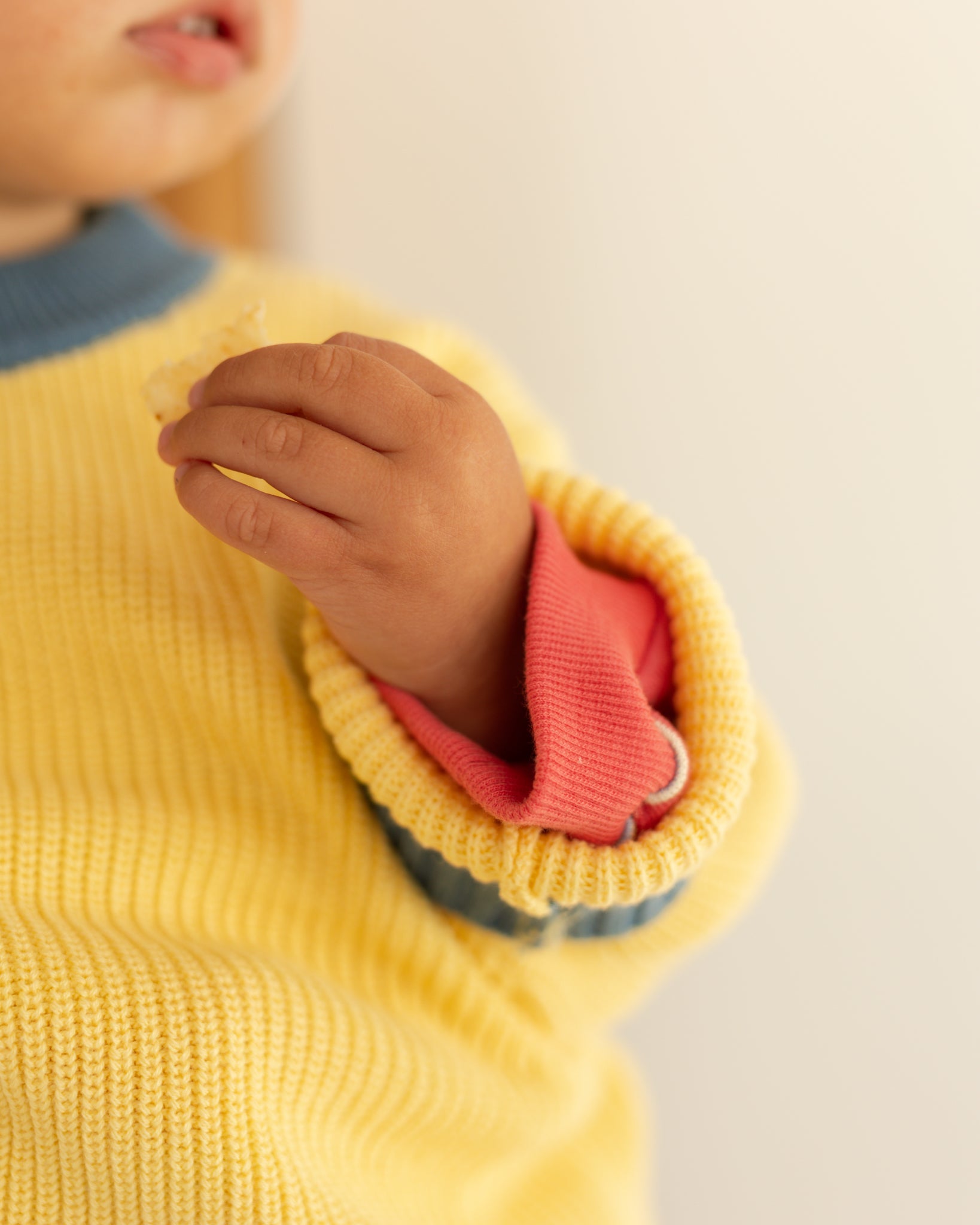 honey toast chunky knit - Pigeon said please
