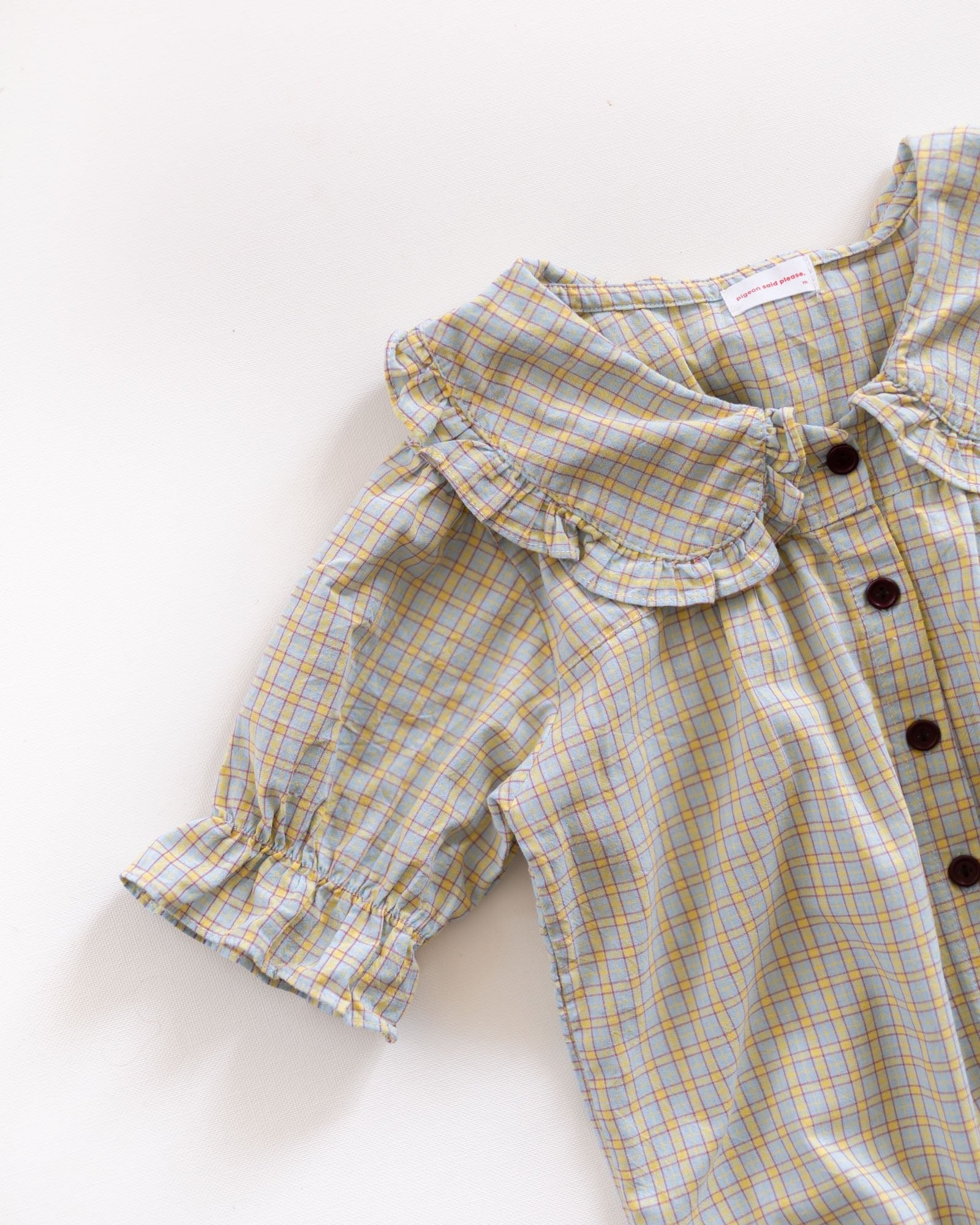 lost daughters blouse - Pigeon said please