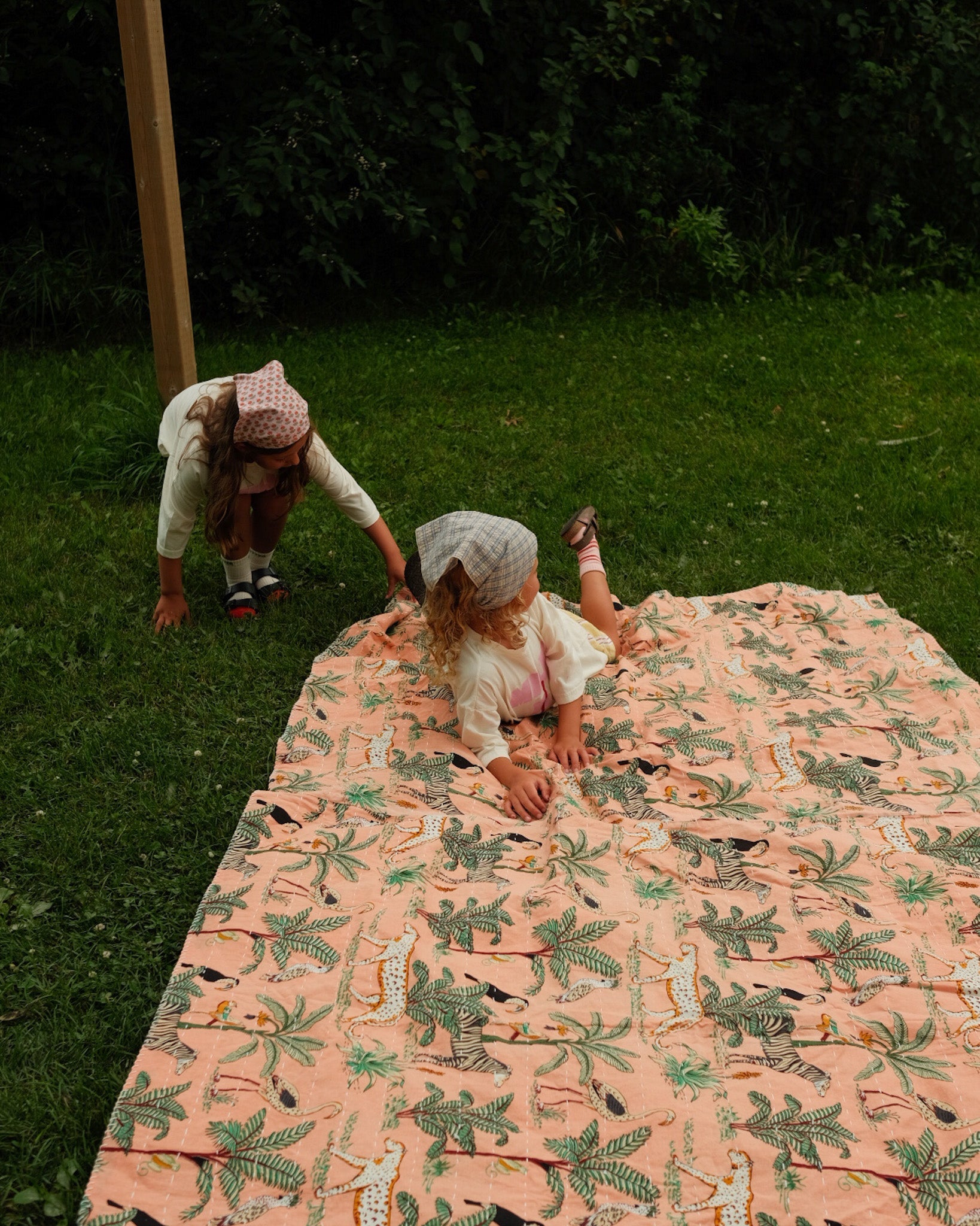 nevermind the monkey kantha throw - Pigeon said please