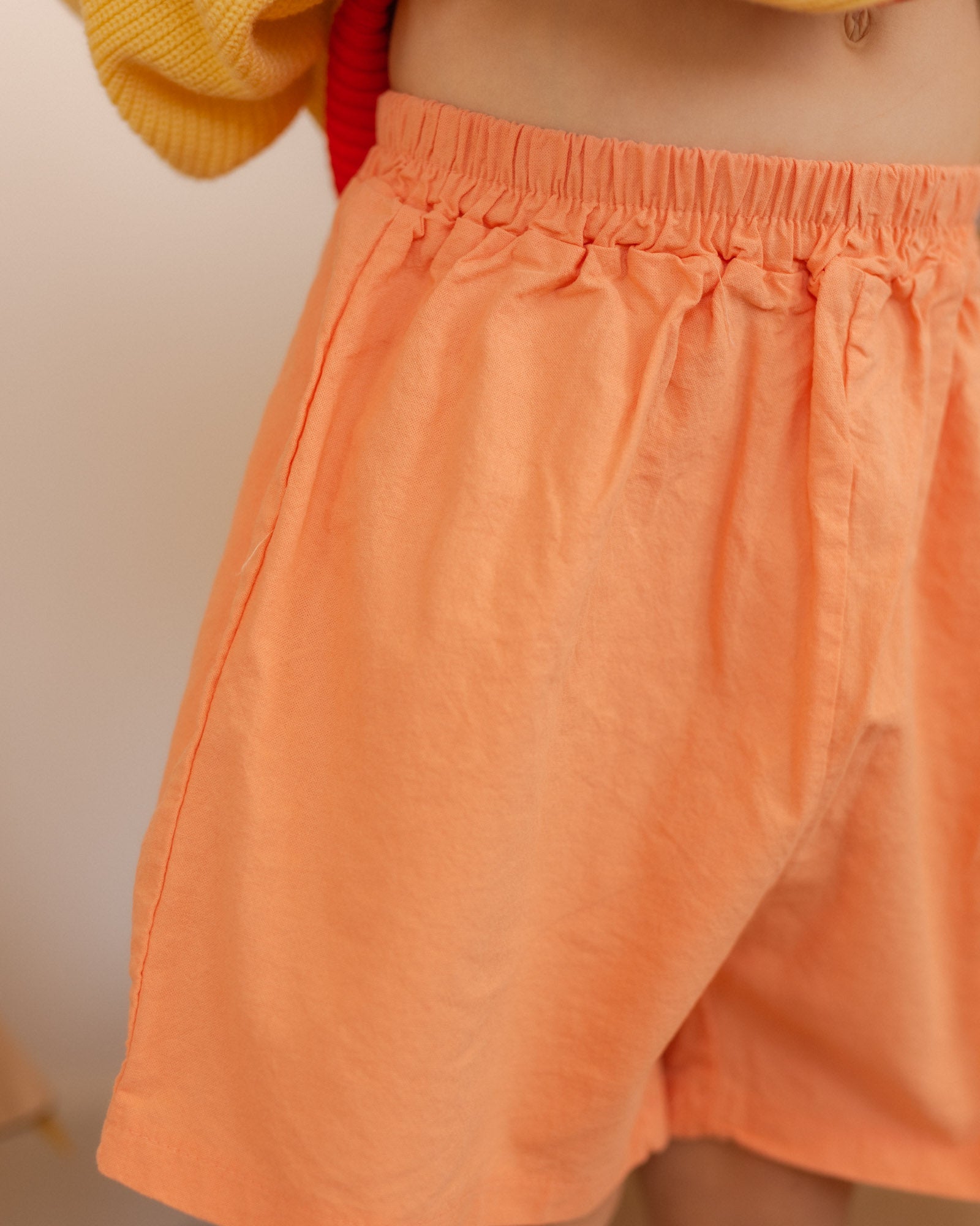vacation shorts - Pigeon said please