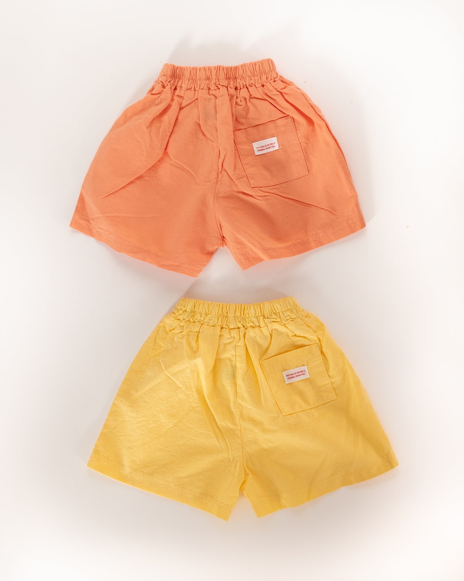 vacation shorts - Pigeon said please