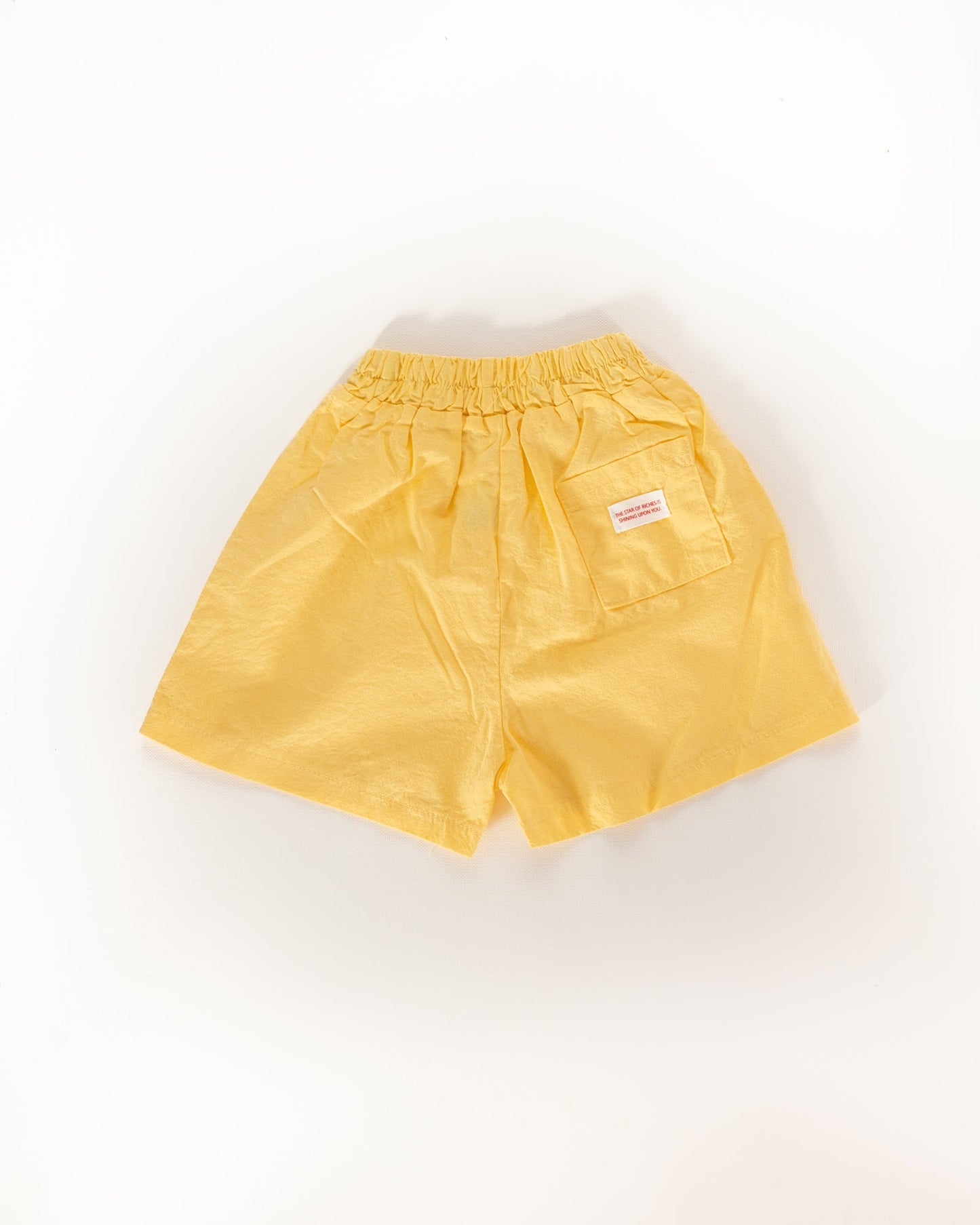 vacation shorts - Pigeon said please