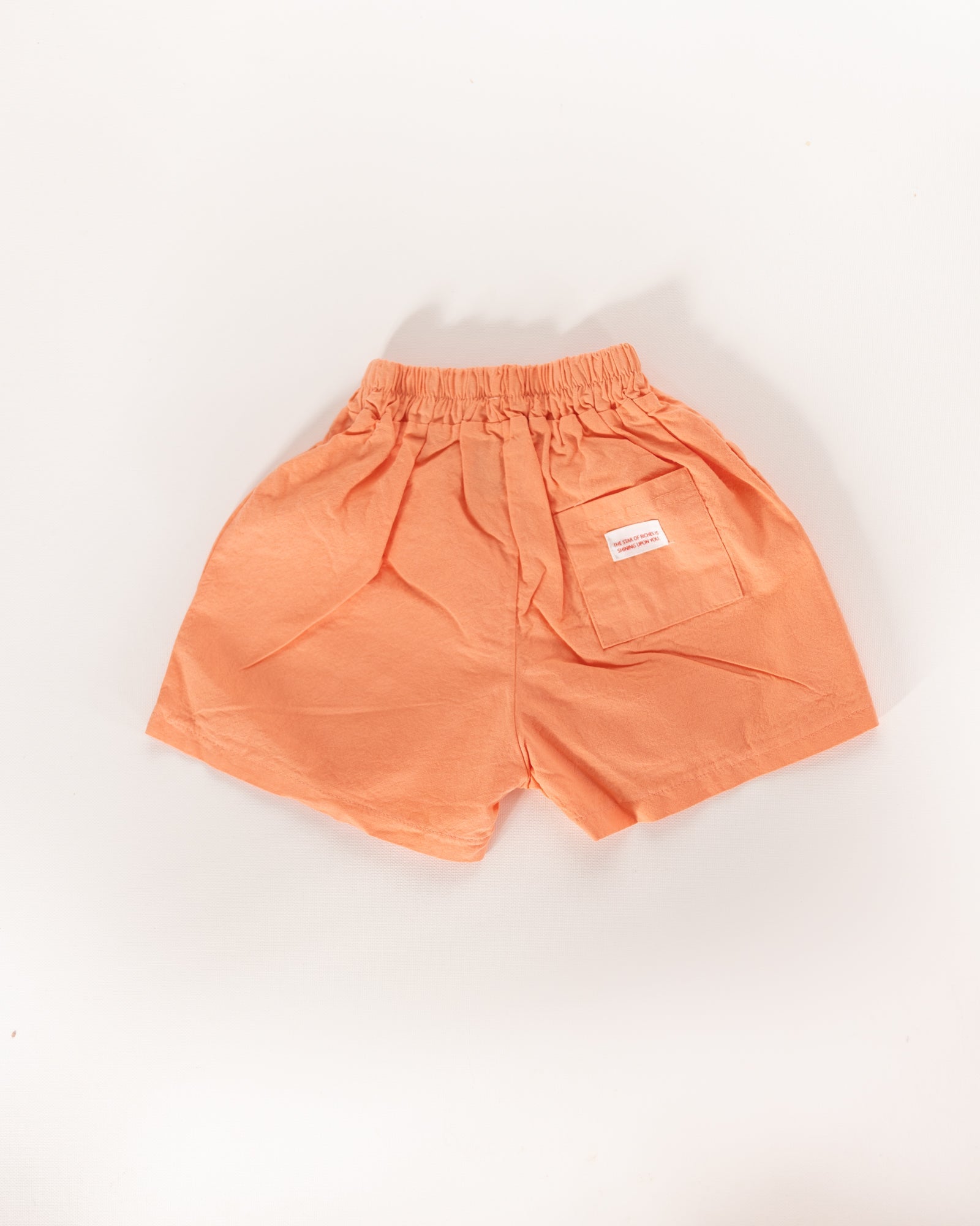 vacation shorts - Pigeon said please