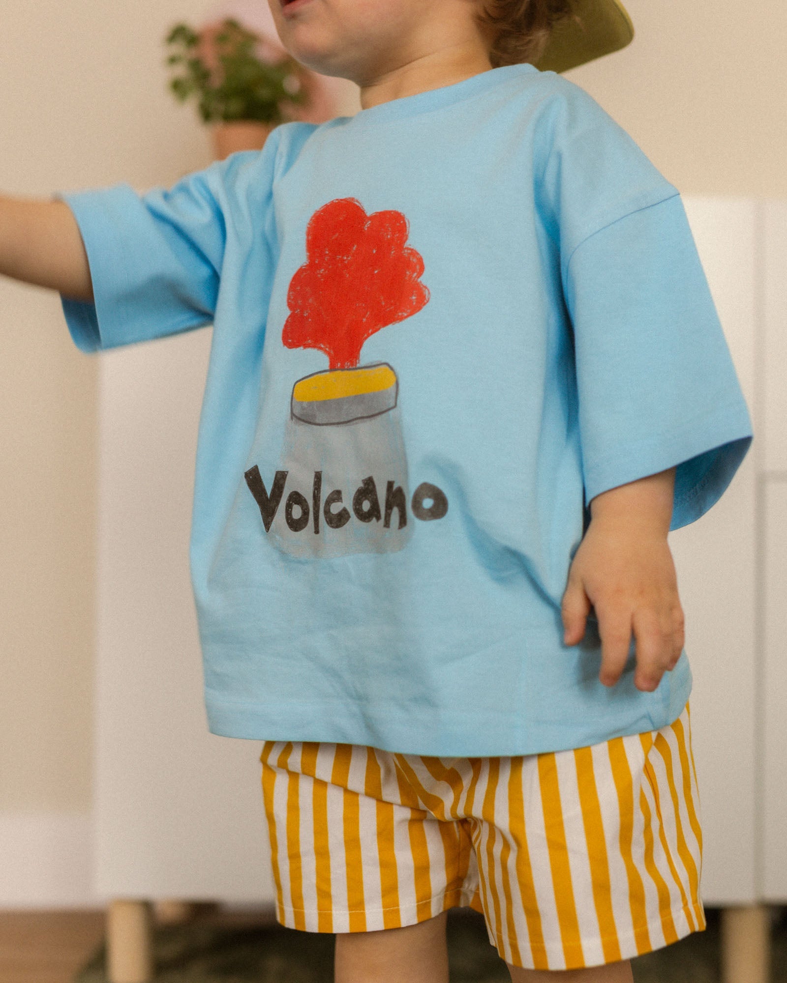 volcano tee - Pigeon said please