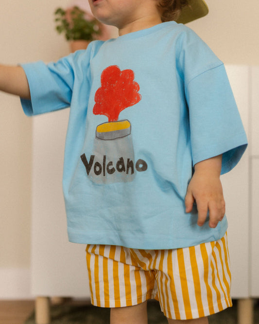volcano tee - Pigeon said please