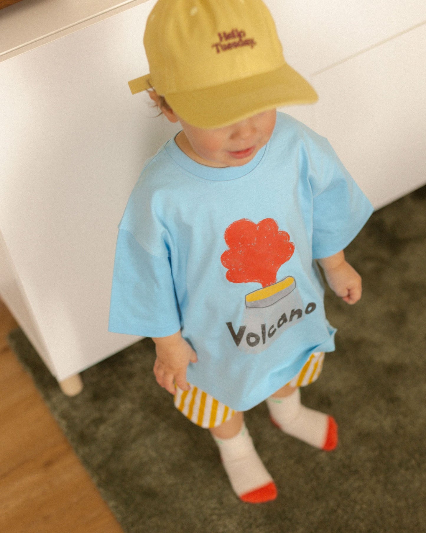 volcano tee - Pigeon said please